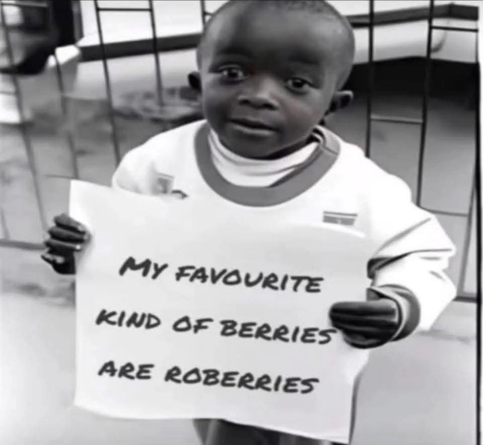 1000007354.jpg