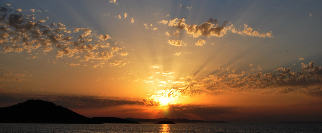 1258356-dsc3283-cleaned.jpg