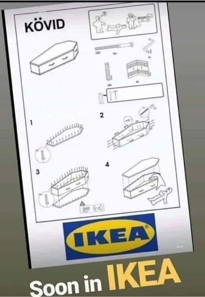 128203114_10224393430320554_617833609839761572_n.jpg