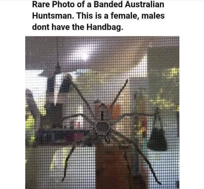 13.png