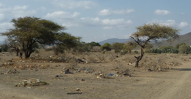 1317609-afrika2010-0670.JPG