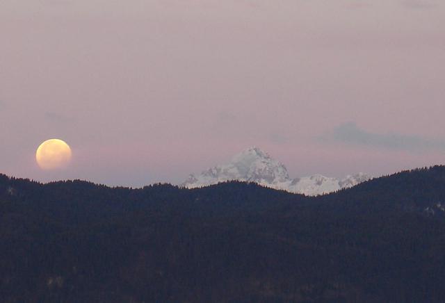 1398803-Luna1.JPG