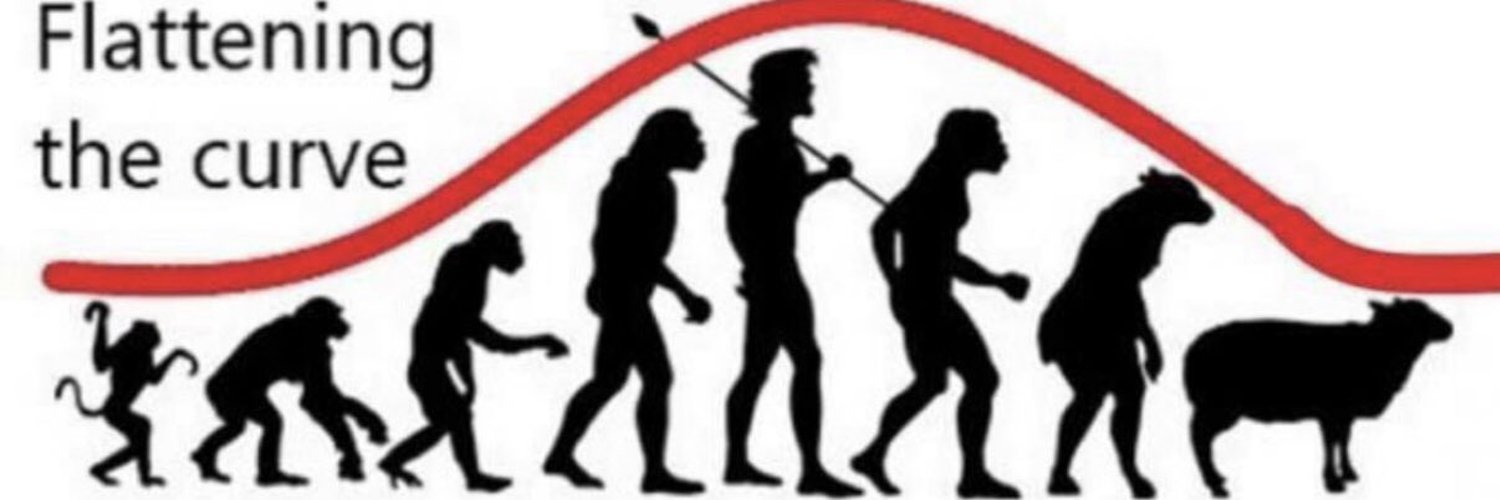 1500x500.jpg