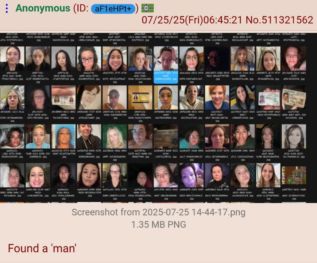 1753860214661.png