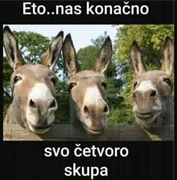 1758627429236.png