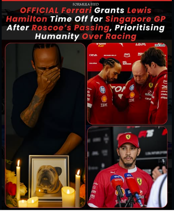 1759315988223.png