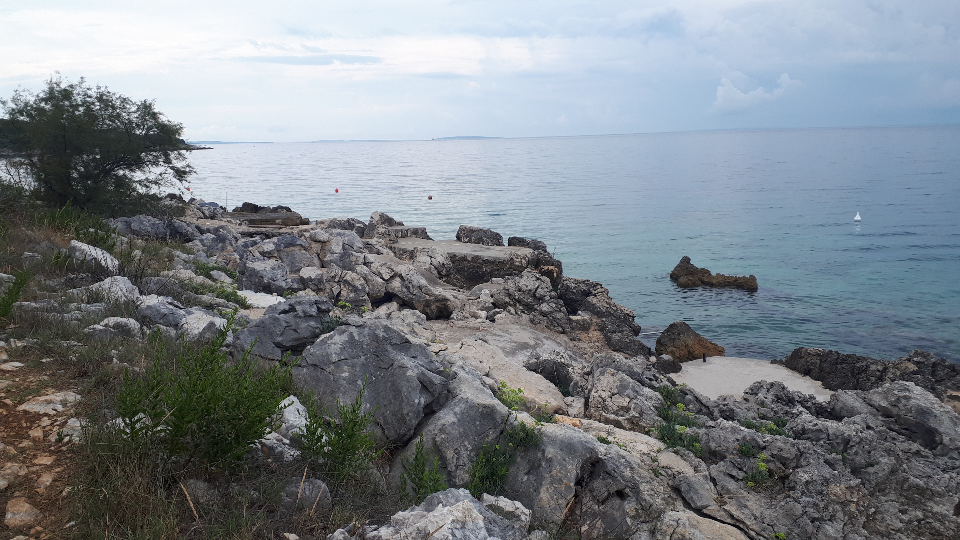 20200818_101304.jpg