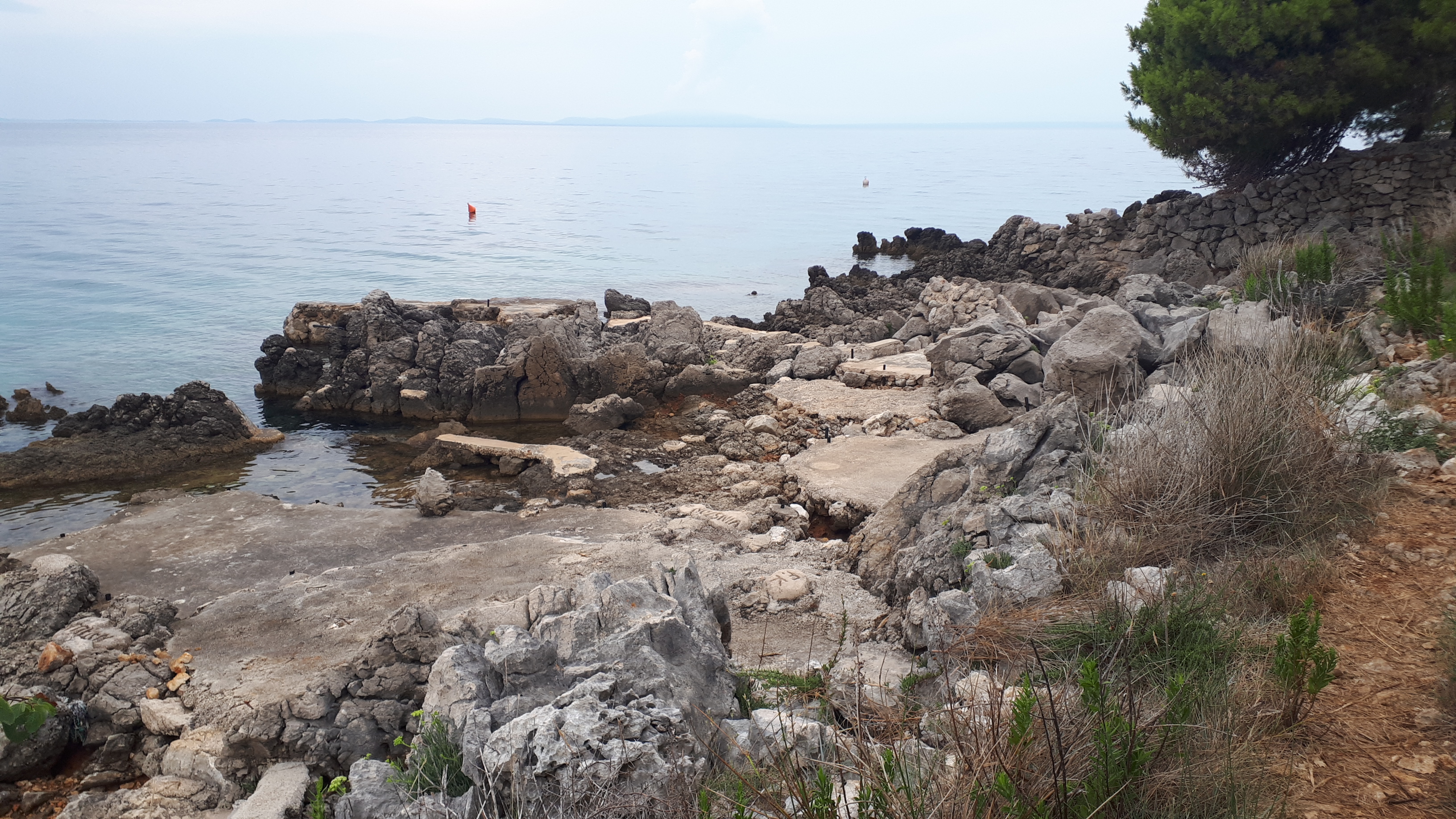 20200818_101325.jpg