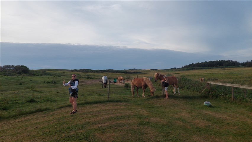 20260626_204703 (Small).jpg