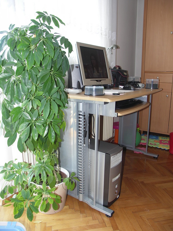 305581-PICT7806.JPG