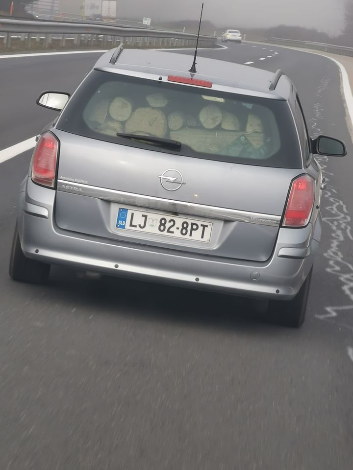 78414262_10214727856060463_7996276043319083008_o.jpg