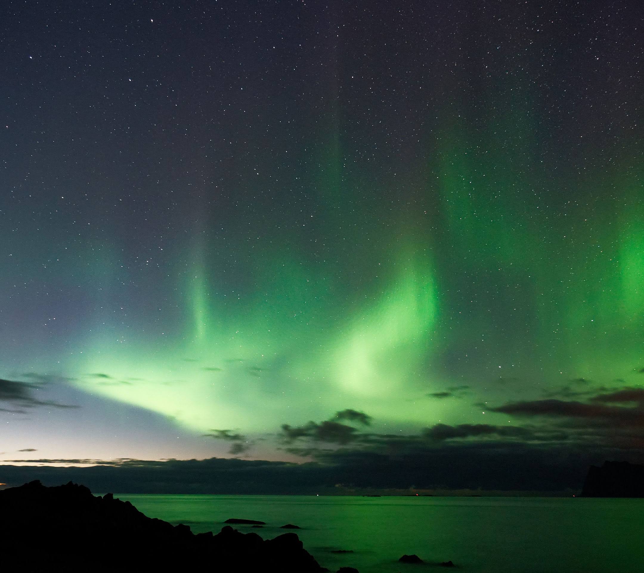 800026303.jpg