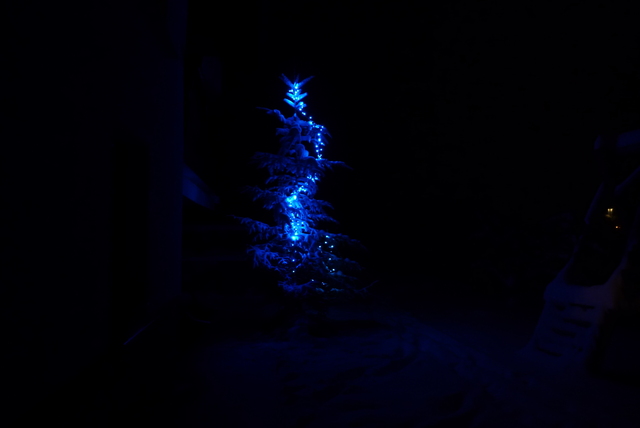 829075-P1020455.JPG