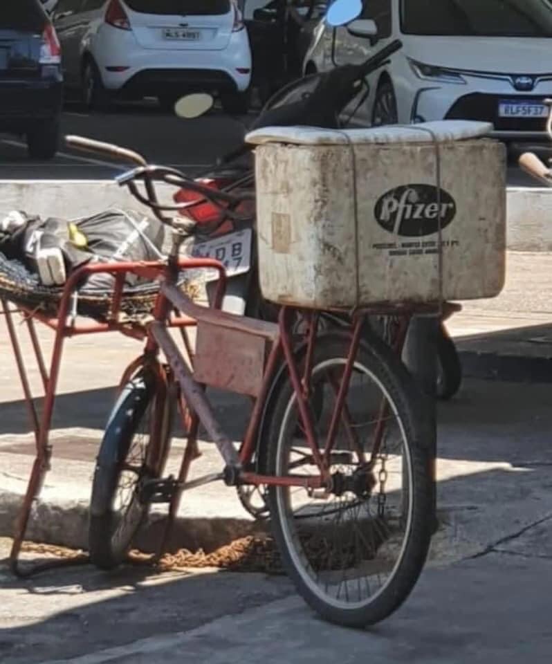 cepivo.jpg