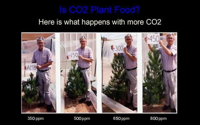 co2_plant_food1.jpg