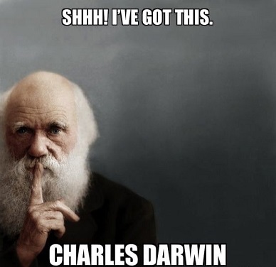 Darwin2.jpg