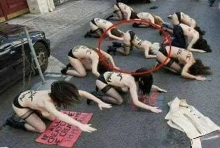 FakeFeminist2jpg.jpg