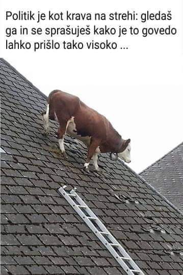 FB_IMG_1615452110963.jpg