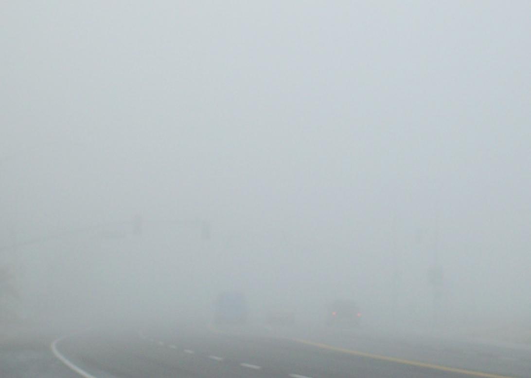 fog-2537693126.jpg