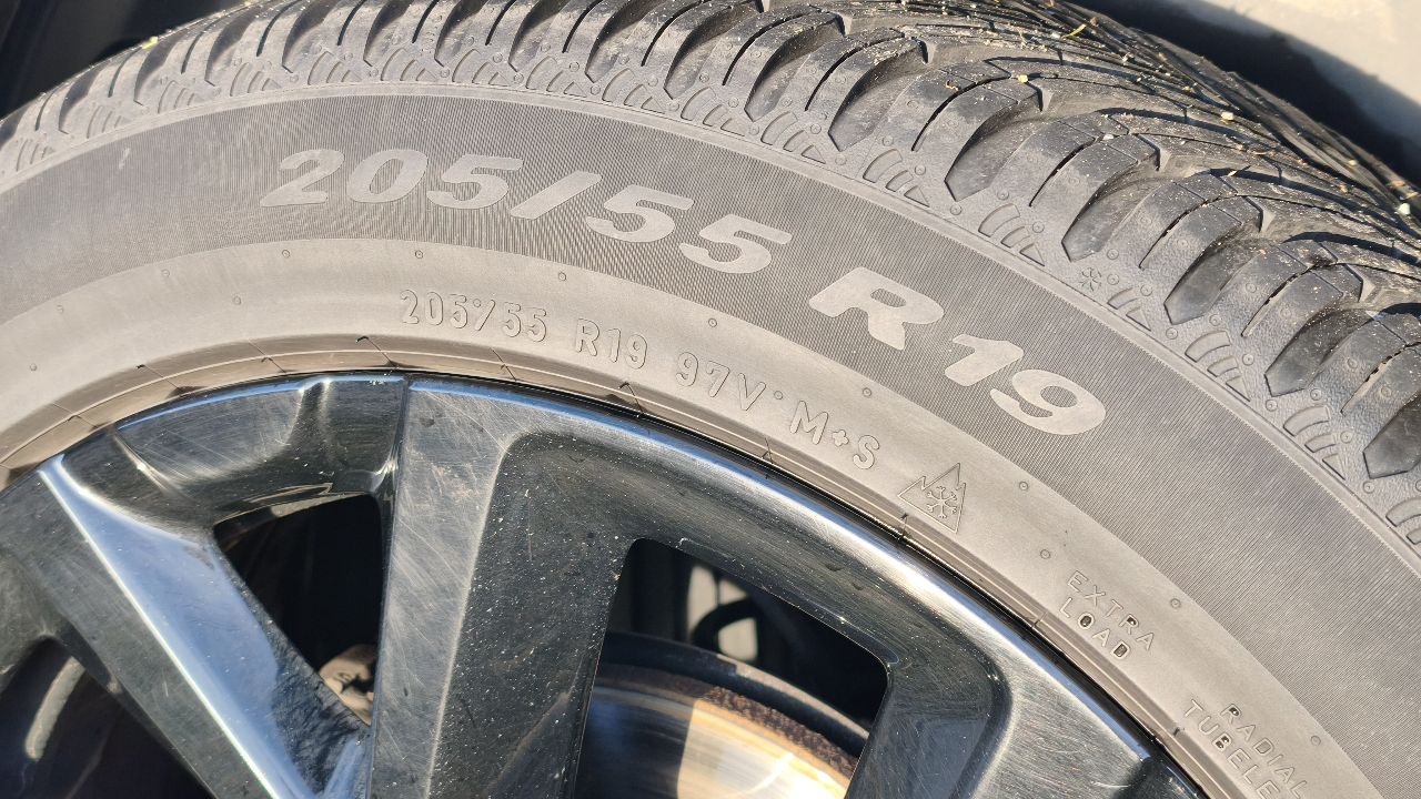 IMG_20251213_150502.jpg