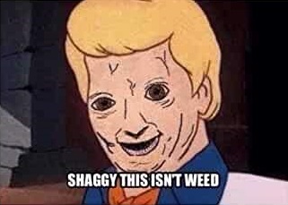 Shaggy this isn't weed.jpg