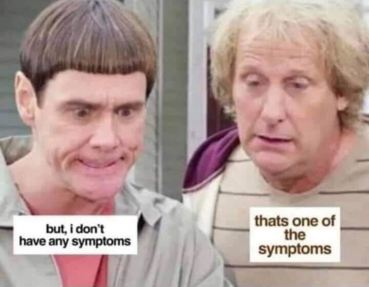 ss.jpg