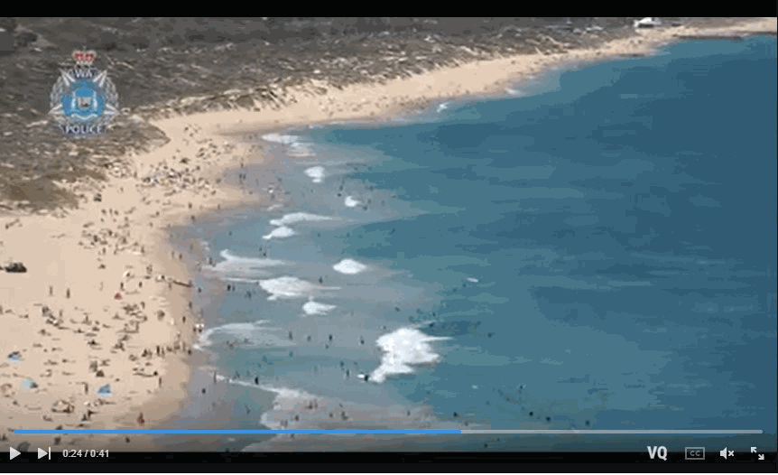 Untitled 2.gif