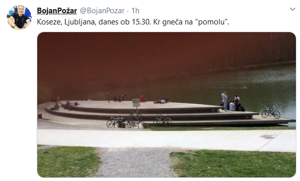 Zajeta slika.PNG