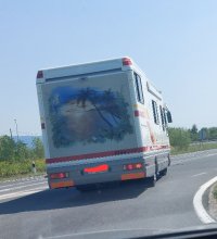 20250815_114504.jpg