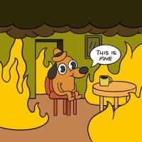 itsfine.jpg