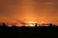 1488469-zahod.jpg