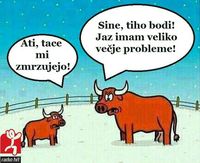 2360057-Zimskeradosti.jpg
