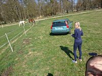 DSC_0148.JPG