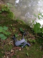 IMG_20180611_193542.jpg