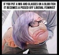 liberalfeminist.jpeg