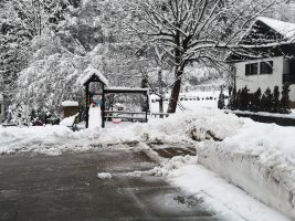 IMG_20211129_075408.jpg
