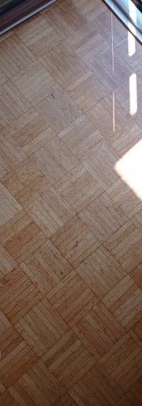 IMG_20230704_095409.jpg