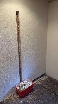 IMG_8375.jpeg