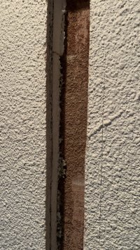 IMG_8376.jpeg