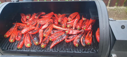 paprika oglje.png